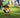 Elevating Skills: Soccer Exercises for Individual Development (Ages 3-7)